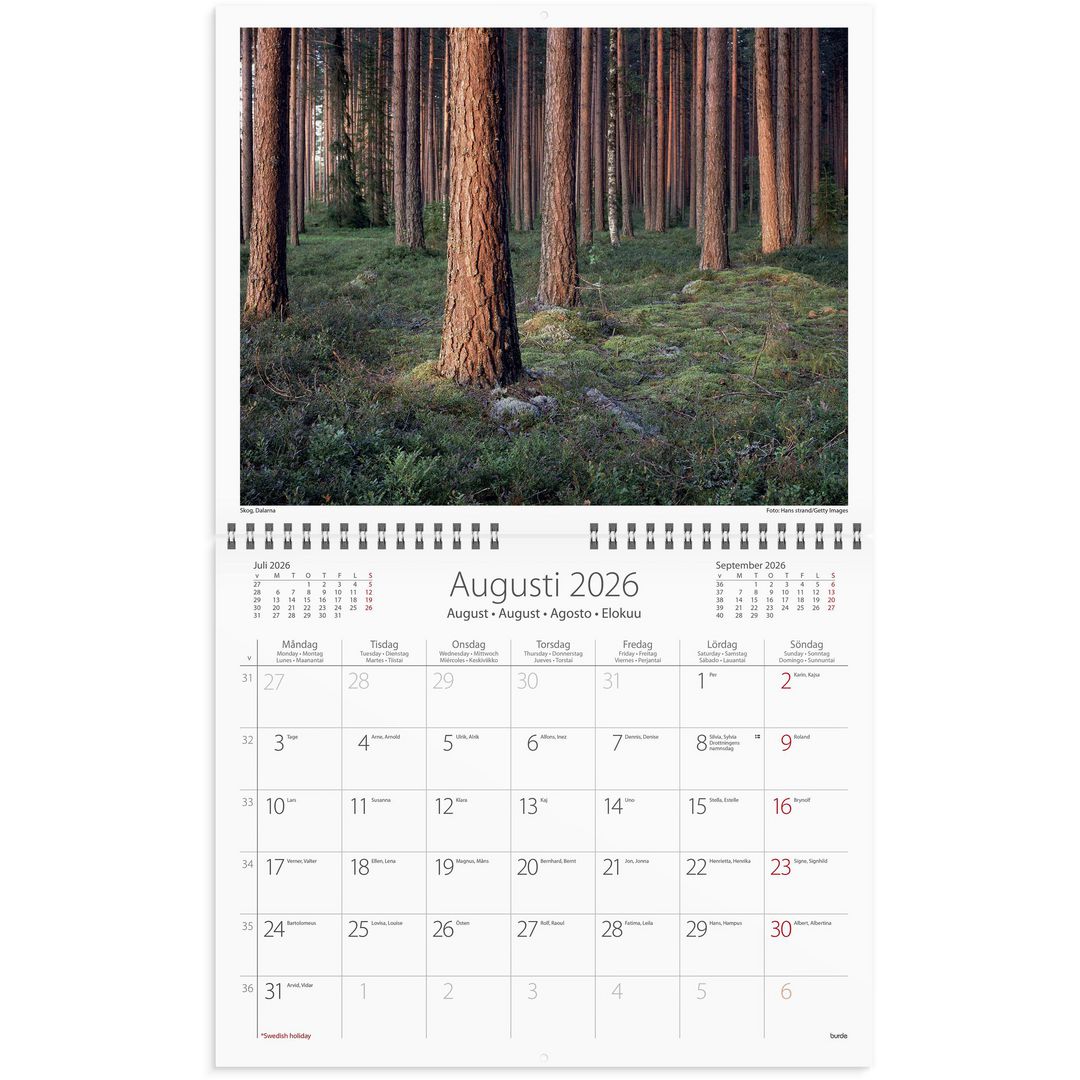 Väggkalender Vår vackra skog - 1735