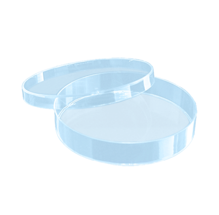 Petriskål 92 x 16mm Ventilerad Transparent / 480