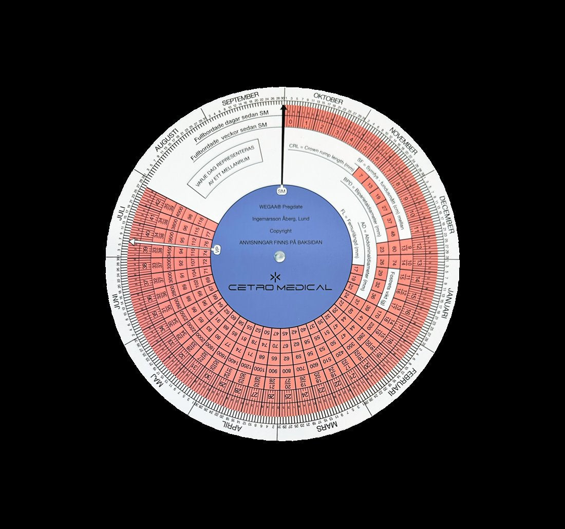 Graviditetssnurra Pregdate Bordsmodell