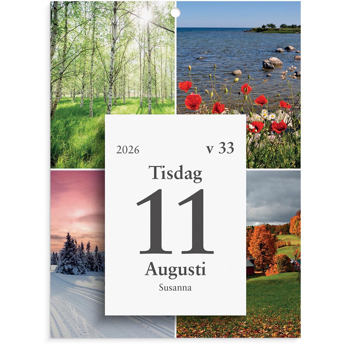 Väggplån med dagblock