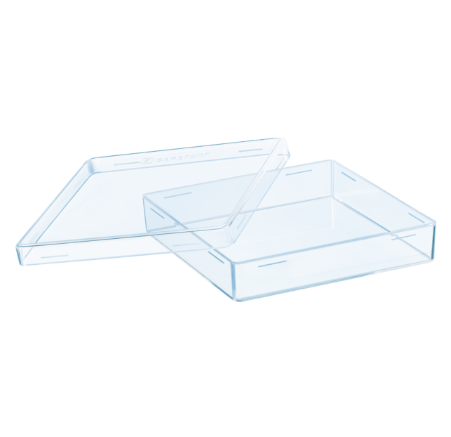 Petriskål 100 x 100mm Fyrkantig Transparent / 160