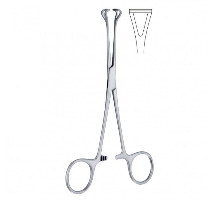 Peang Babcock 16cm