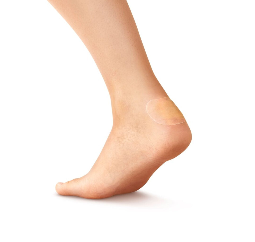 Salvequick Gnagplaster Hæler / 6